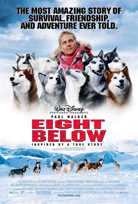 Eight Below Photos